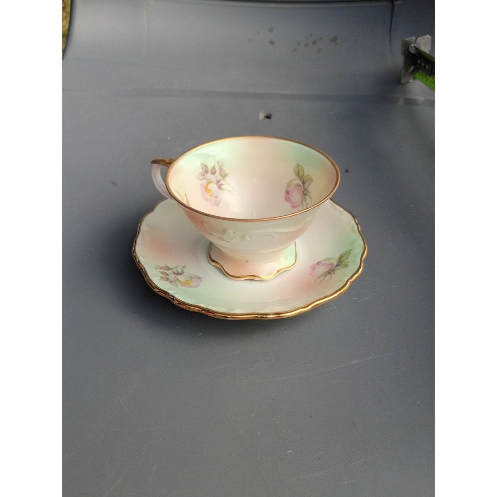 schumann arzberg Bavaria Porcelain Germany Pastel Floral‎ Teacup And Saucer
